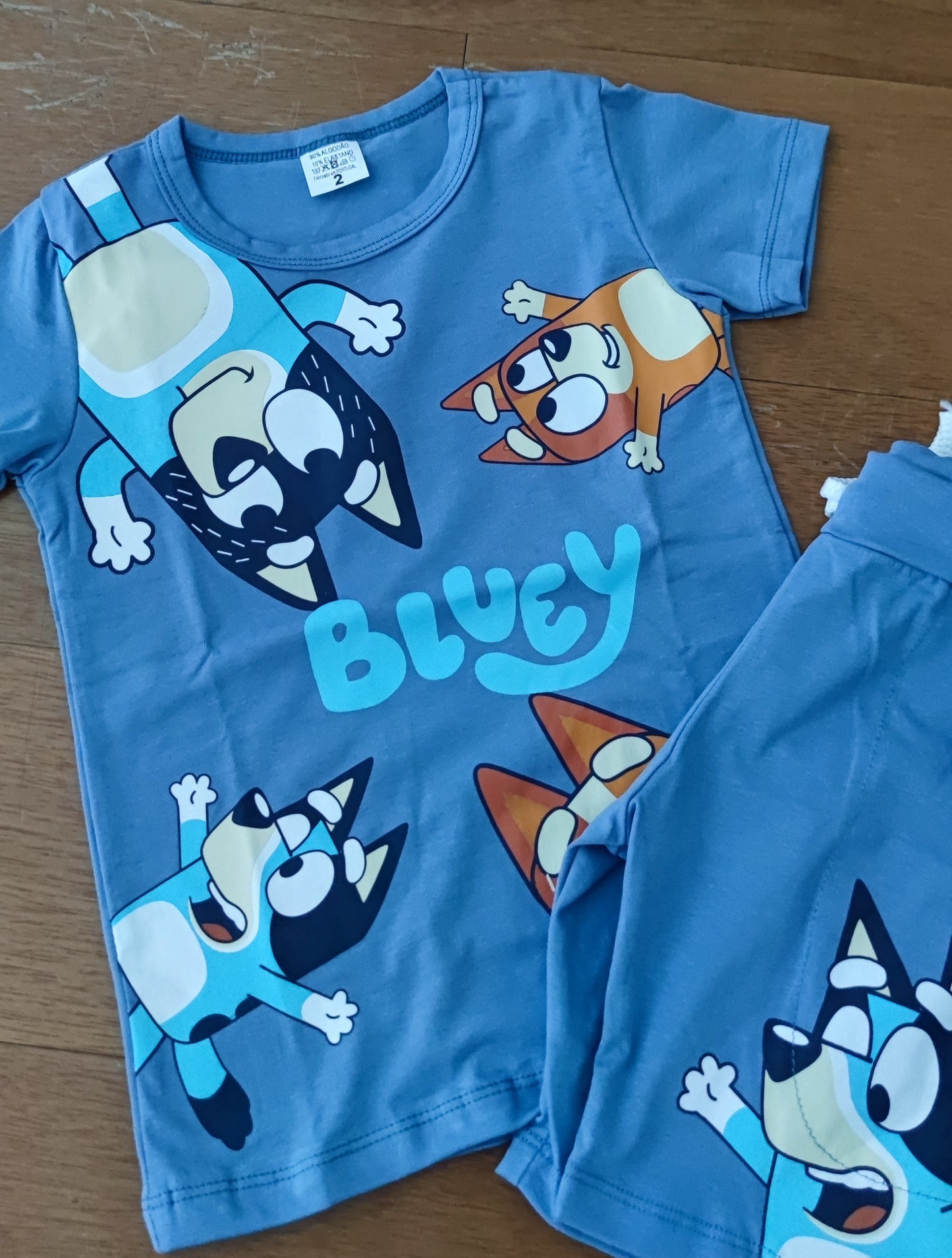 Conjunto de menino Bluey