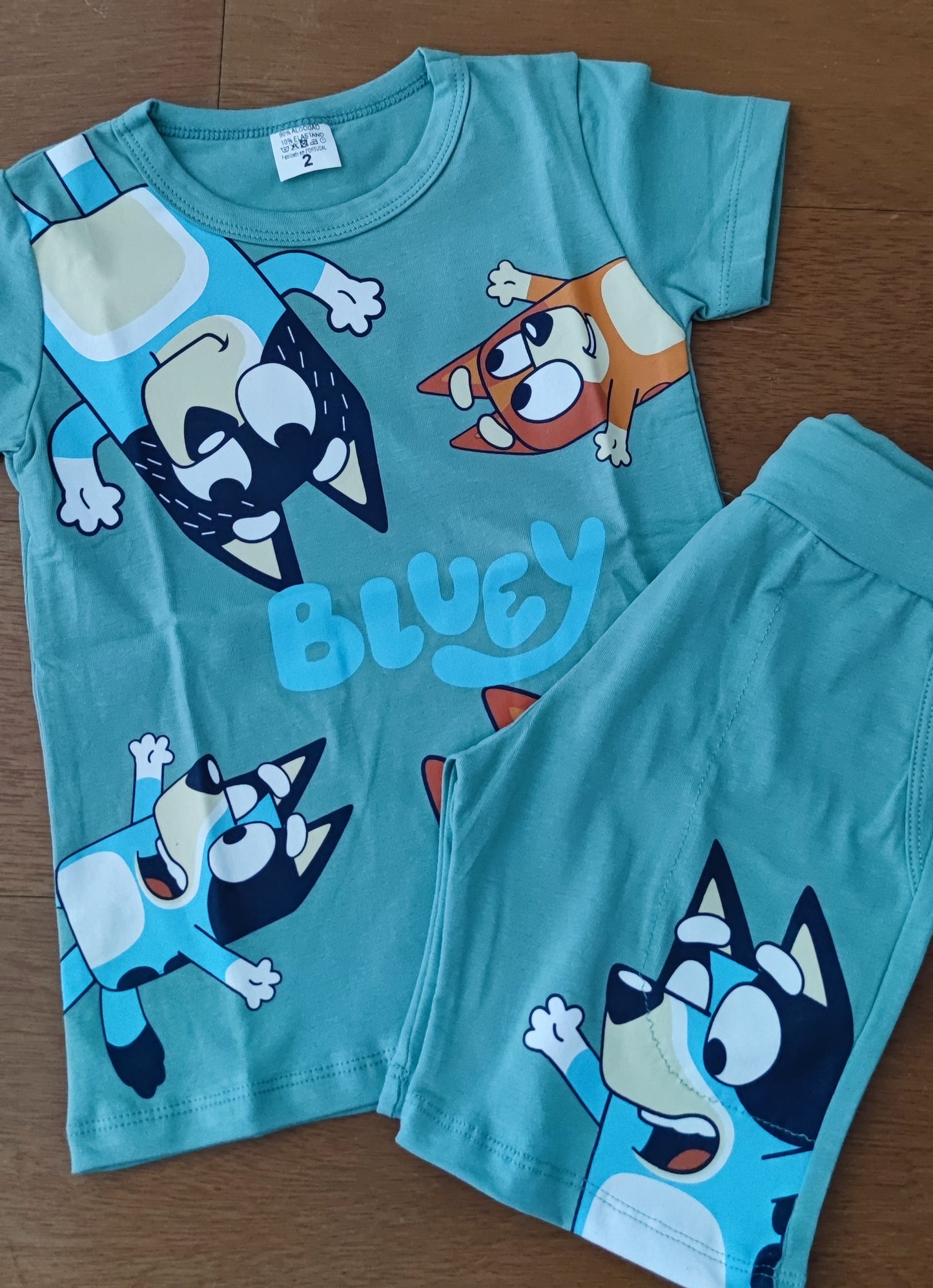 Conjunto de menino Bluey