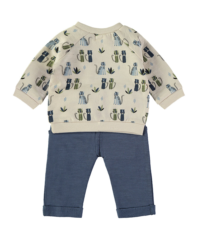 Conjunto Gatos