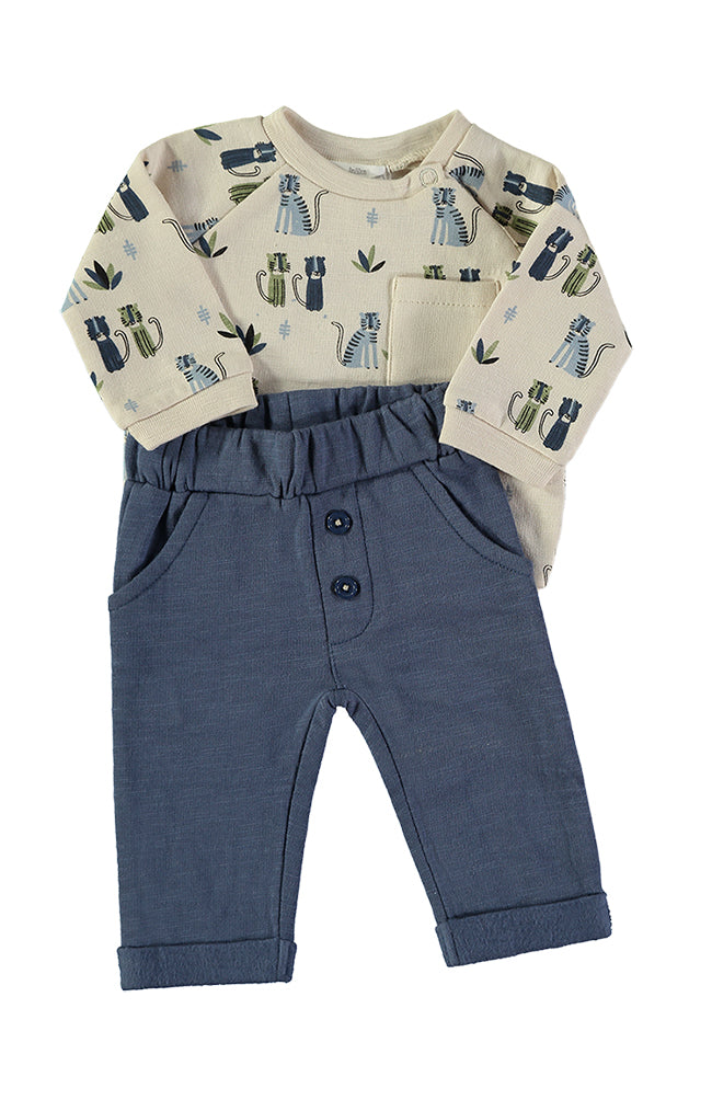 Conjunto Gatos
