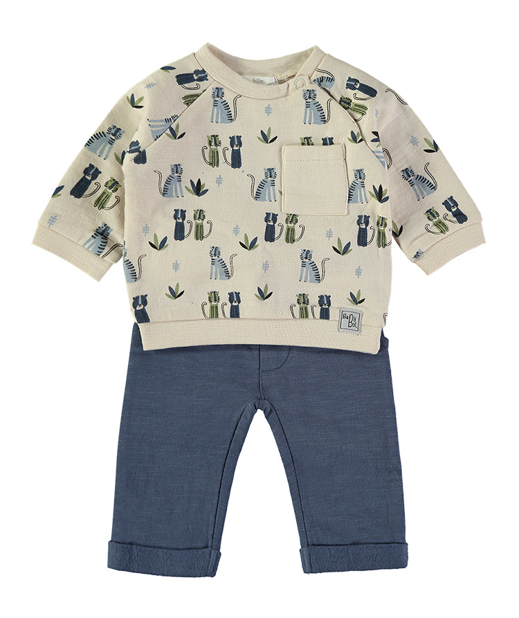 Conjunto Gatos