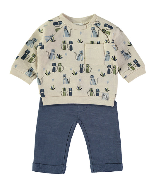Conjunto Gatos
