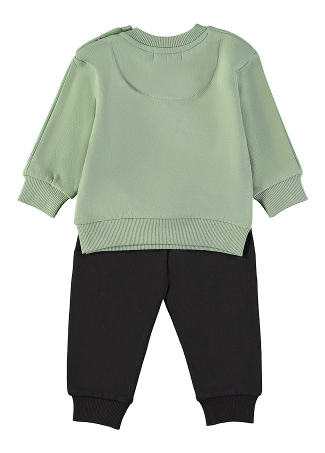 Conjunto 2pcs Dinossauros