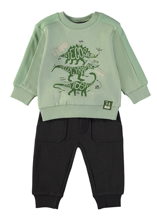 Conjunto 2pcs Dinossauros
