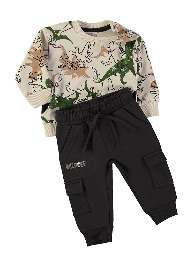 Conjunto 2pcs Dinos