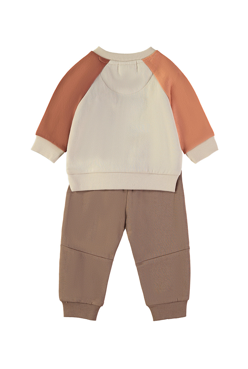 Conjunto 2pcs Leão
