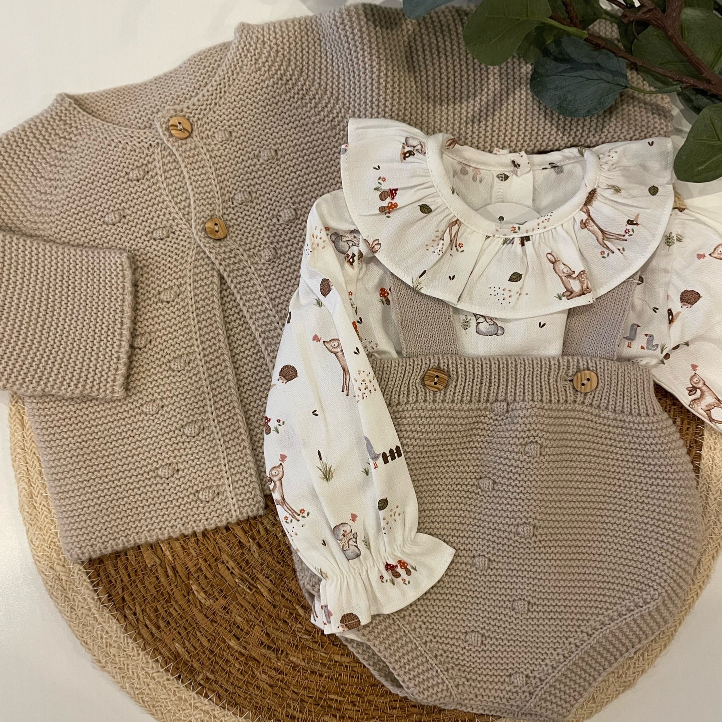 Conjunto Bosque