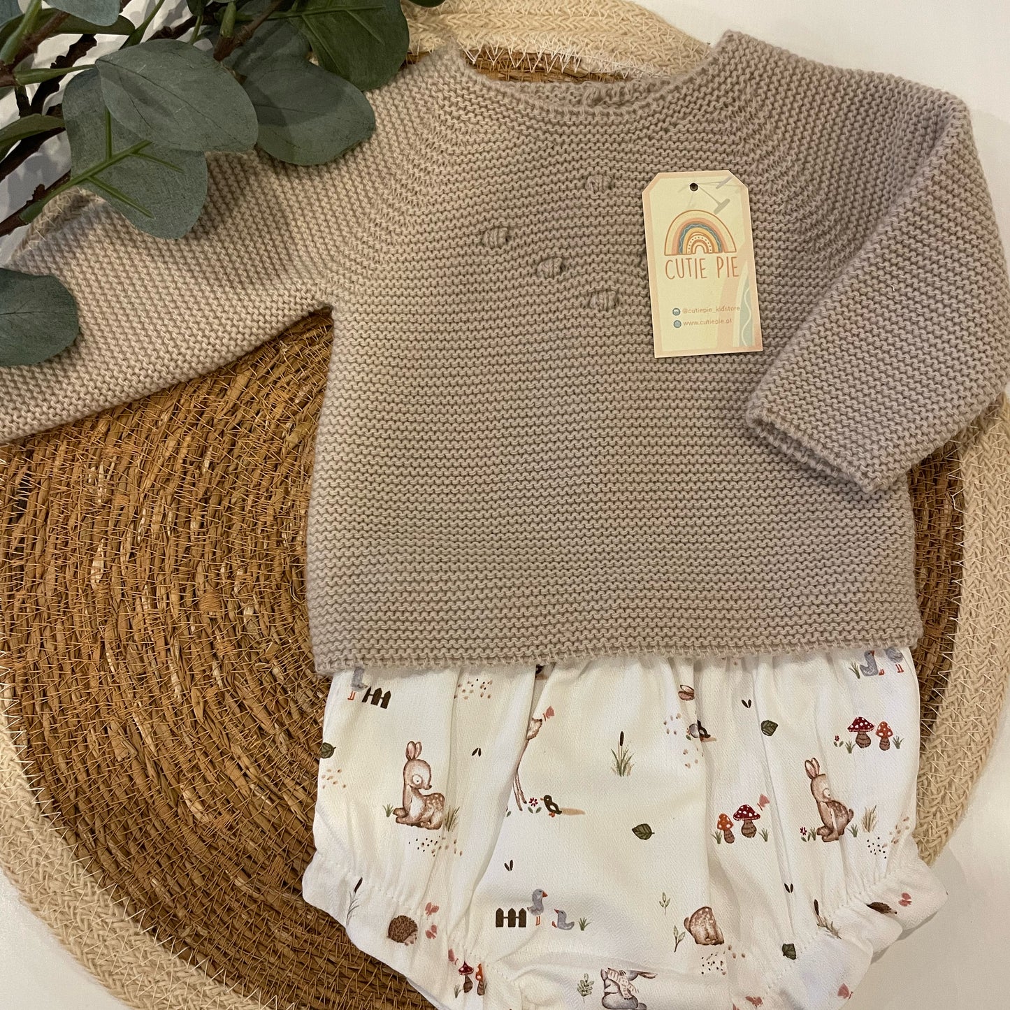 Conjunto Campo